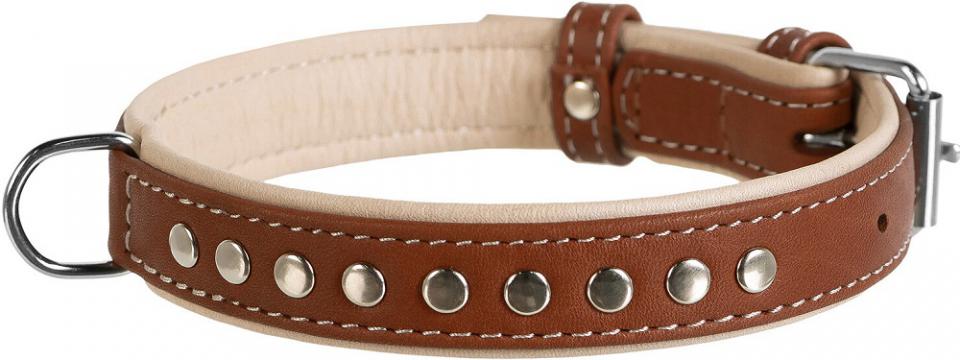 Изображение 1 - Collar WauDog Soft Кожаный ошейник с металлическими украшениями коричневый