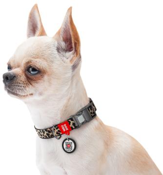 Изображение 2 - Collar Waudog Nylon з qr паспортом ошейник цвет леопард