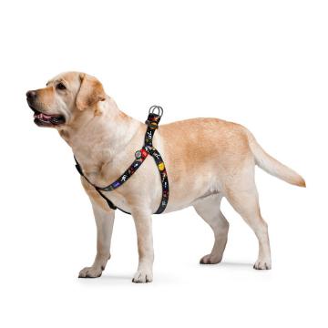 Изображение 3 - Collar WauDog Nylon Nasa нейлоновая шлея