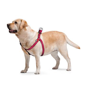 Изображение 2 - Collar WauDog Nylon Арбуз нейлоновая шлея