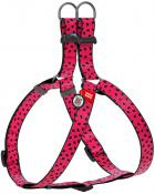 Collar WauDog Nylon Арбуз нейлоновая шлея