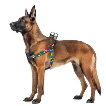 Изображение 2 - Collar WauDog Nylon ВАУ нейлоновая шлея
