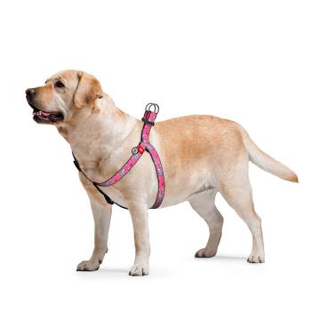 Изображение 2 - Collar WauDog Nylon Единороги нейлоновая шлея