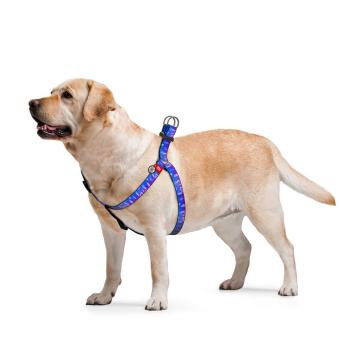 Изображение 3 - Collar WauDog Nylon Ловец снов нейлоновая шлея