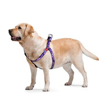 Изображение 2 - Collar WauDog Nylon Фиолетовый камо нейлоновая шлея