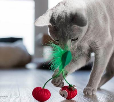 Изображение 3 - Petstages Dental Cherries Игрушка вишня для котов