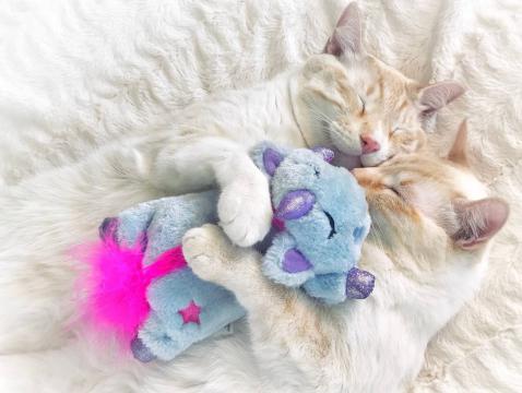 Изображение 5 - Petstages Cuddle Pal Unicorn Игрушка-подушка единорог