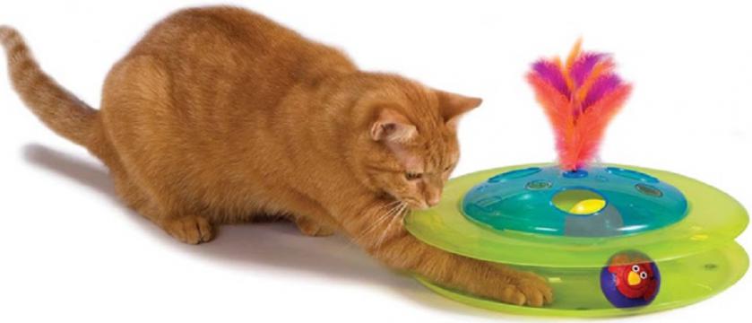 Изображение 2 - Petstages Sights & Sounds Birdie Chase Игровой трек с мячиком-птичкой