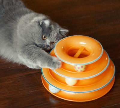 Изображение 2 - Petstages Tower Of Tracks Org Трек-башня с мячиками для котов