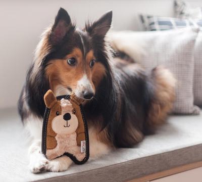 Изображение 3 - Outward Hound Invincibles Minis Puppy Игрушка щенок с пищалкой