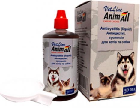 Изображение 1 - AnimAll VetLine Антицистит суспензия для котов и собак
