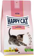 Happy Cat Kitten Land  с домашней птицей