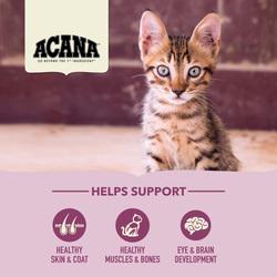 Изображение 5 - Acana First Feast Kitten