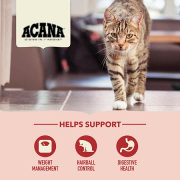 Изображение 4 - Acana Indoor Entree Cat