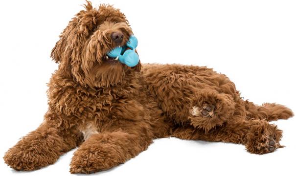 Изображение 6 - West Paw Tux Treat Toy L игрушка для лакомств