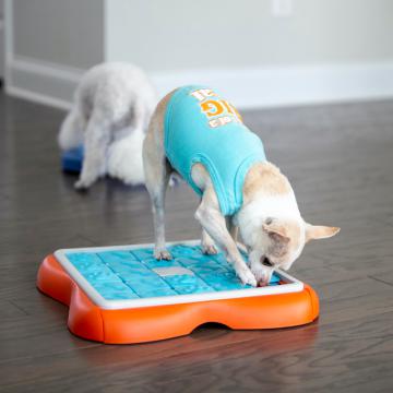 Изображение 4 - Petstages Nina Ottosson Slider dog Puzzle интерактивная-игрушка