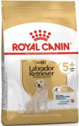 Royal Canin Labrador Retriever Adult 5+