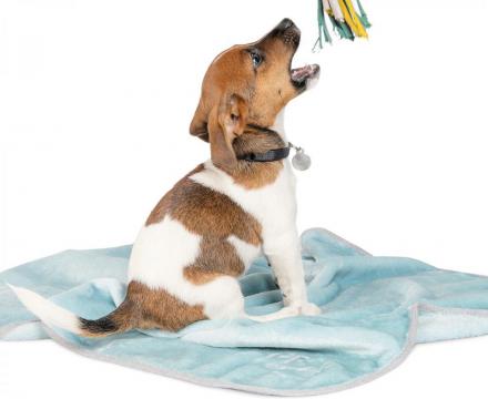 Изображение 3 - Pet Fashion Плед Bliss Мятный