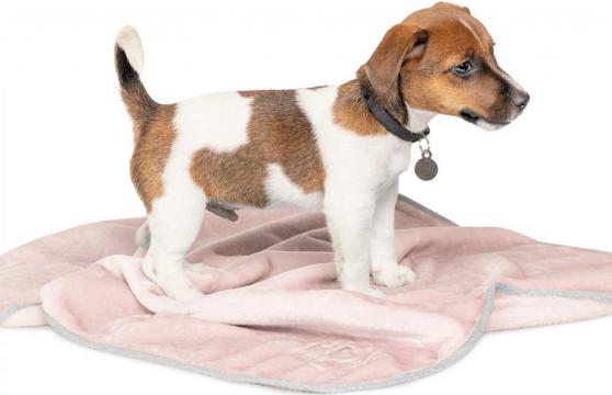 Изображение 3 - Pet Fashion Плед Bliss Розовый