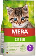 Mera Kitten с уткой