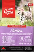 Orijen Kitten
