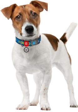 Изображение 4 - Collar WauDog Nylon Патрон нейлоновый ошейник
