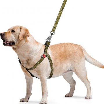 Изображение 2 - Collar WauDog Nylon Мілітарі нейлонова шлея