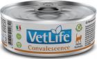 Farmina Vet Life Cat Convalescence Паштет