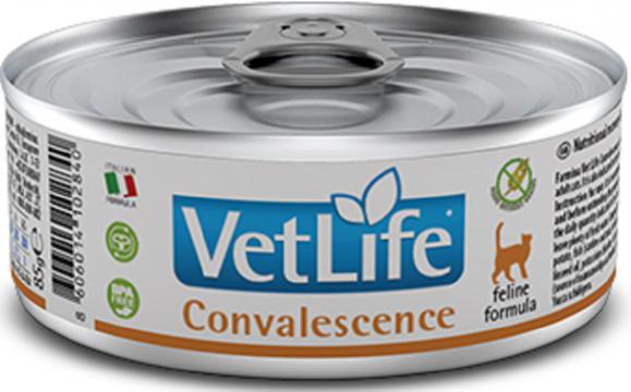 Изображение 1 - Farmina Vet Life Cat Convalescence Паштет