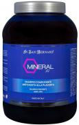 Iv San Bernard Mineral H шампунь