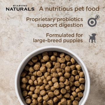 Изображение 2 - Diamond Naturals Puppy Large Breed Lamb&Rice