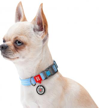 Изображение 3 - Collar Waudog Re-Cotton с qr паспортом