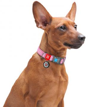 Изображение 3 - Collar Waudog Re-Cotton с qr паспортом розовый