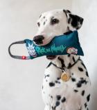 Collar Waudog fun с пищалкой 