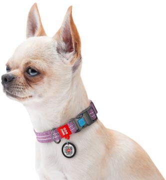 Изображение 3 - Collar Waudog Re-Cotton с qr паспортом фиолетовый