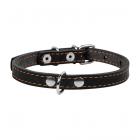 Collar ошейник одинарный черный