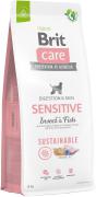 Brit Care Dog Sustainable Sensitive Insect and Fish