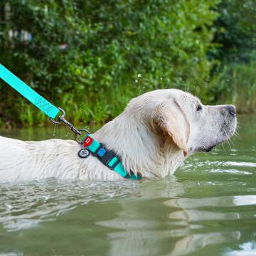 Изображение 3 - Collar WauDog Waterproof Ошейник Флуоресцентный с QR-Паспортом Пластик