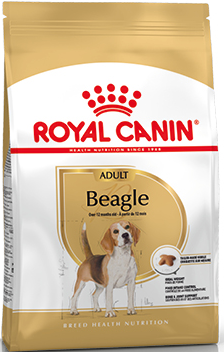 Изображение 1 - Royal Canin Adult Beagle