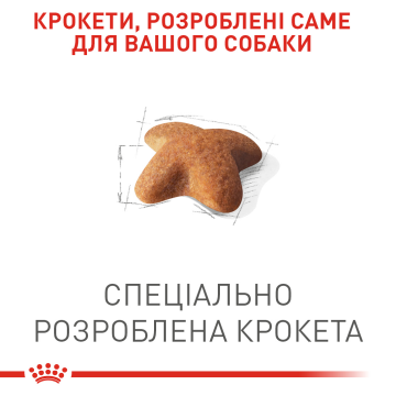 Изображение 2 - Royal Canin Adult Beagle
