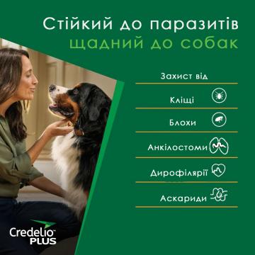 Изображение 2 - Credelio Plus для собак от 1,4 до 2,8 кг