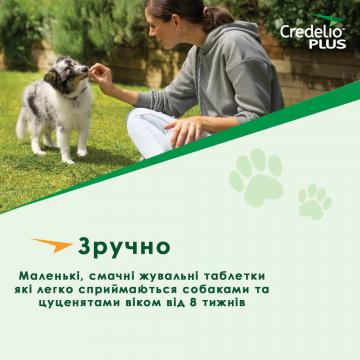 Изображение 3 - Credelio Plus для собак от 1,4 до 2,8 кг