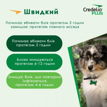 Изображение 4 - Credelio Plus для собак от 2,8 до 5,5 кг