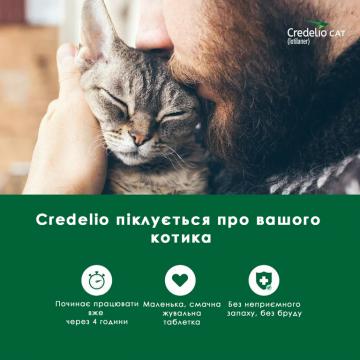 Изображение 3 - Credelio Cat для котов от 2 до 8 кг