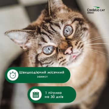 Изображение 2 - Credelio Cat для котов от 2 до 8 кг