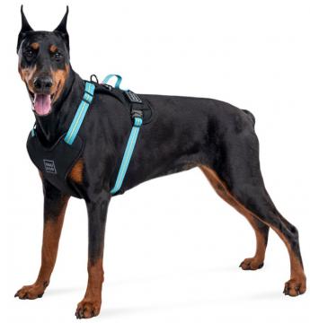 Изображение 4 - Collar Waudog Nylon Анатомичная шлея з qr паспортом голубая