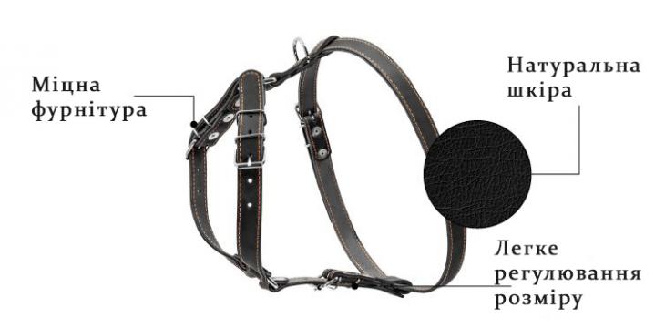 Изображение 3 - Collar Шлея одинарная с кожи, коричневая
