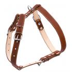 Collar Шлея двойная из кожи