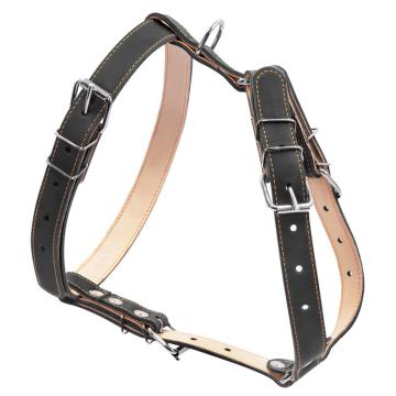 Изображение 4 - Collar Шлея двойная из кожи