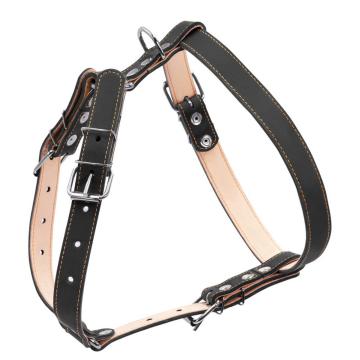 Изображение 2 - Collar Шлея двойная из кожи